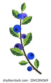 Rama aislada de arándano azul en un estilo plano.