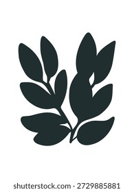 Rama aislada para el concepto de estudio botánico