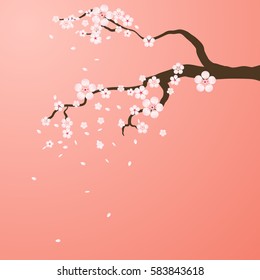 Isolated branch with flowers of sakura. Cartoon pink and white blossoms of Japanese cherry tree. Vector background  illustration.