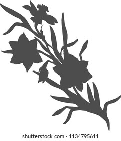 Isolated branch of hand drawn flowers daffodils, narcissus. Black floral elements on white background. Vector Illustration