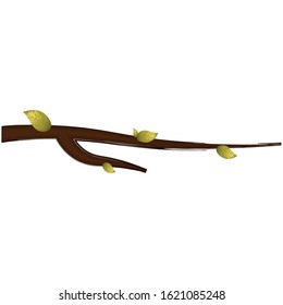Isolated branch image with leaves - Vector illustration
