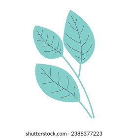 Isolated branch of leaves icon Vector