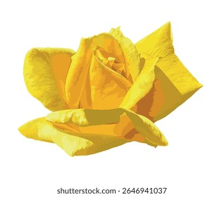Isolada flor de rosa amarela brilhante em um fundo branco, mostrando suas pétalas macias e textura natural vívida. A rosa dourada é uma rosa amarela vibrante e impressionante. Ilustração vetorial.
