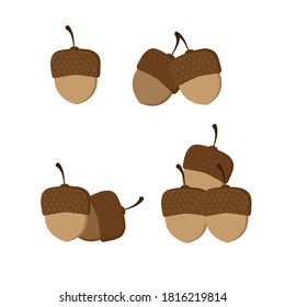 Isolated brown acorns on white background. Flat vector illustration.