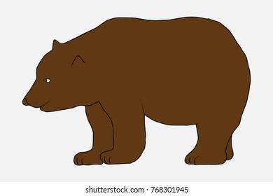 isolated brown bear, vector illustration