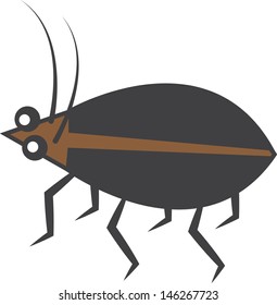 Isolated brown and black beetle  