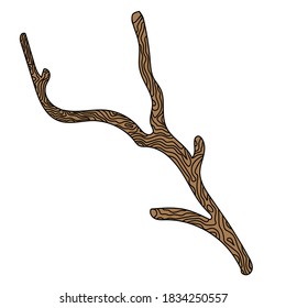 Isolated brown branch with bark without leaves on a white background stylized.