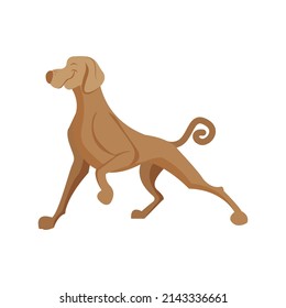 Isolated Brown Dog Turtle Animated Animals Jungle Vector Illustration