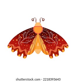 Isolated brown moth vector illustration