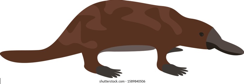 Isolated brown platypus vector. African animal silhouette illustration. 