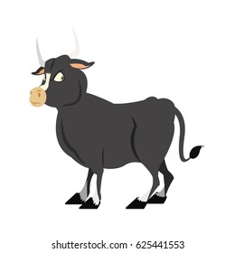 Isolated bull cartoon design