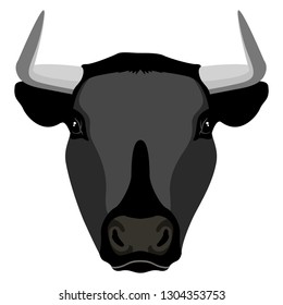 Isolated bull head. Farm animal. Vector illustration design