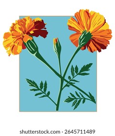 Isolado, o ramo de flor de calêndula ilustração vetor.