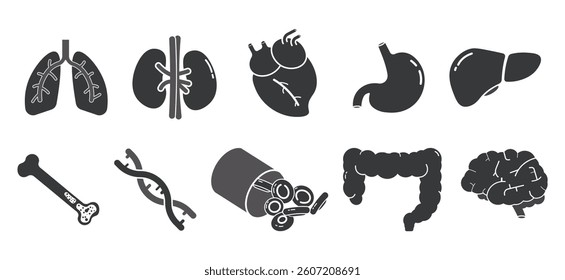 Isolated bundle pictogram representing body parts, including lungs, heart, liver, intestine, kidneys, blood, brain, DNA, and bones