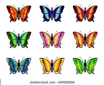 Isolated butterflies set on  white background illustration vector
