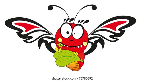 isolated butterfly