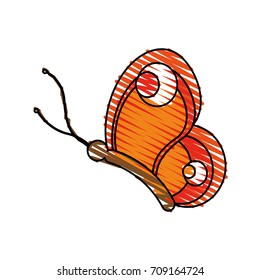 Isolated butterfly design