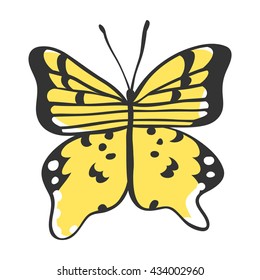 Isolated butterfly. Hand drawn vector illustration. Decorative elements for design. Black contour drawing. Creative ink art work