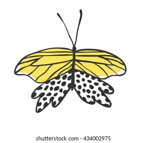 Isolated butterfly. Hand drawn vector illustration. Decorative elements for design. Black contour drawing. Creative ink art work