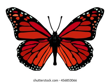 Isolated butterfly Monarch on the white background.Vector illustration.