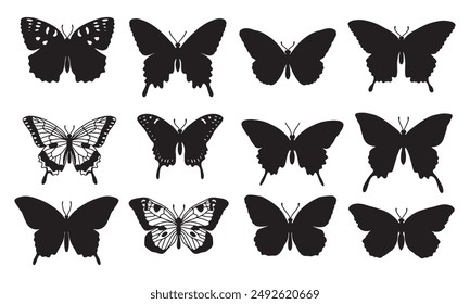 Isolated butterfly on the white background. butterfly silhouettes. Vector EPS 10.	