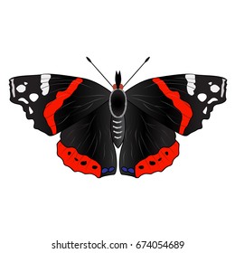Isolated butterfly on a white background illustration vector