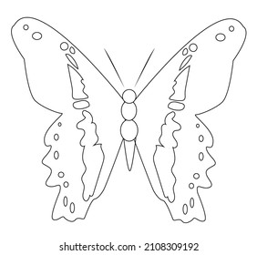 Isolated butterfly sketch on white background. Papilio Nireus. Insect icon. Vector flat illustration.