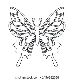 Isolated butterfly with wings object symbol. Butterfly with wing vector icon for stock.