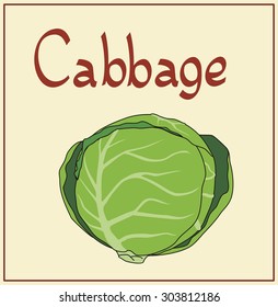 Isolated cabbage and handwritten text