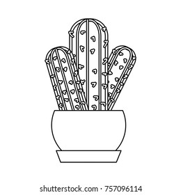 Isolated cactus design