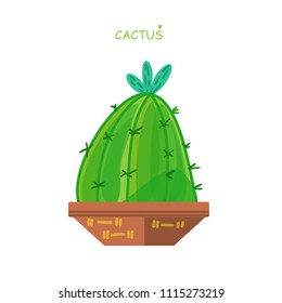 Isolated cactus. Doodle style. Vector illustration. House plant