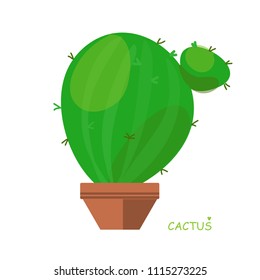Isolated cactus. Doodle style. Vector illustration. House plant