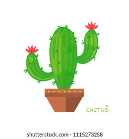Isolated cactus. Doodle style. Vector illustration. House plant