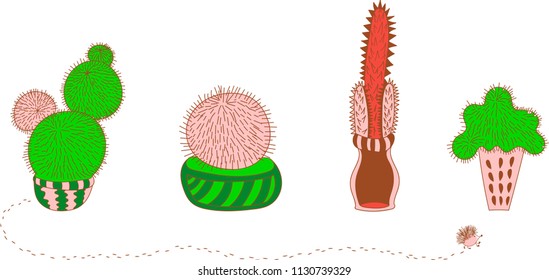 isolated cactus and funny hedgehog