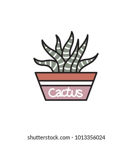 Isolated cactus icon design in casual style on white background.
