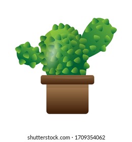 Isolated cactus icon on a pot plant - Vector