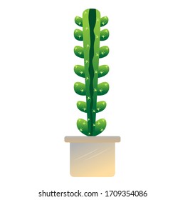 Icono de cactus aislado en una planta de cacerolas - Vector