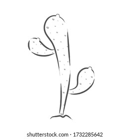 Isolated cactus icon. Outline of a succulent - Vector illustration