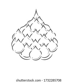 Icono de cactus aislado. Esquema de una ilustración suculenta - Vector