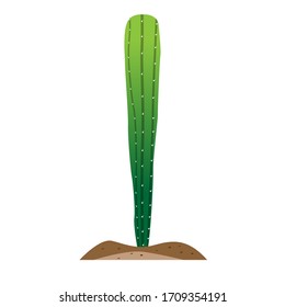 Isolated cactus icon over ground - Vector illustration