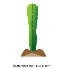 Isolated cactus icon over ground - Vector illustration