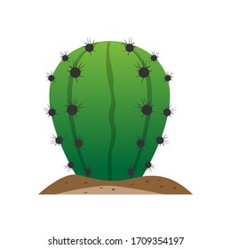Isolated cactus icon over ground - Vector illustration