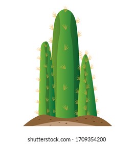 Isolated cactus icon over ground - Vector illustration