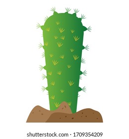 Isolated cactus icon over ground - Vector illustration