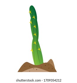 Isolated cactus icon over ground - Vector illustration
