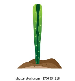 Icono de cactus aislado sobre tierra - Ilustración vectorial