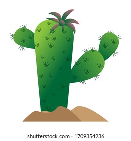 Isolated cactus icon over ground - Vector illustration