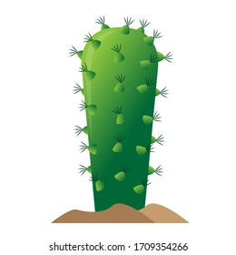 Isolated cactus icon over ground - Vector illustration