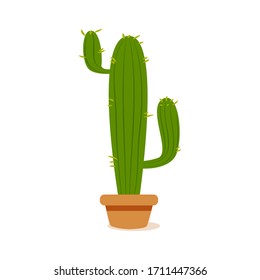 Isolated cactus icon in a potplant - Vector