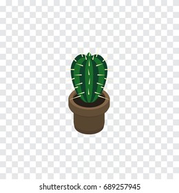 Isolated Cactus Isometric. Peyote Vector Element Can Be Used For Peyote, Cactus, Plant Design Concept.